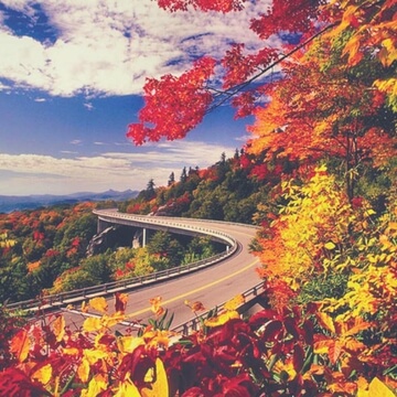 Follow the Foliage - Thumbnail