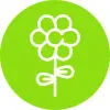 springtime flower