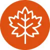 orange fall leaf