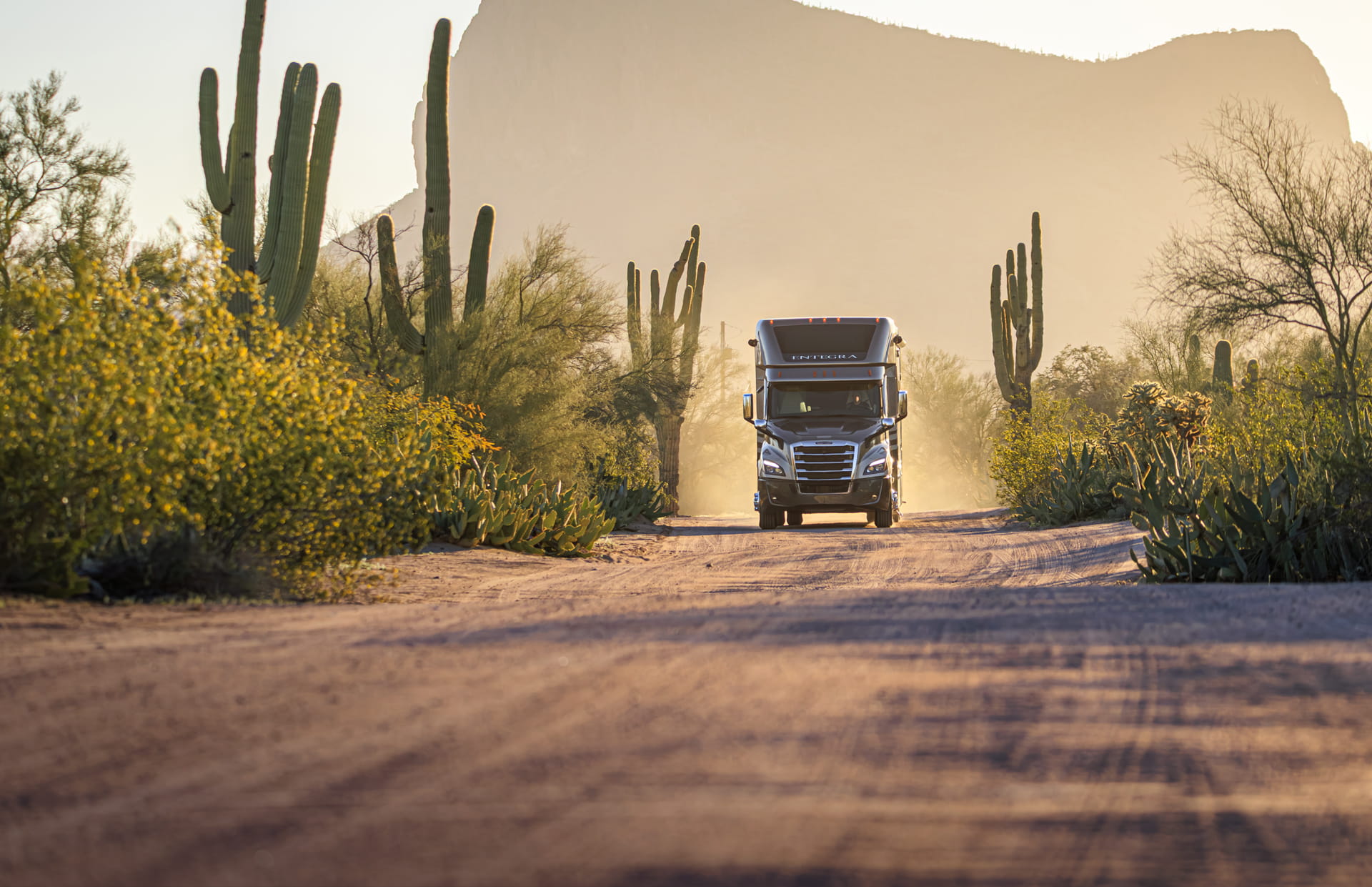 Entegra Coach motorhome on desert road through saguaro landscape