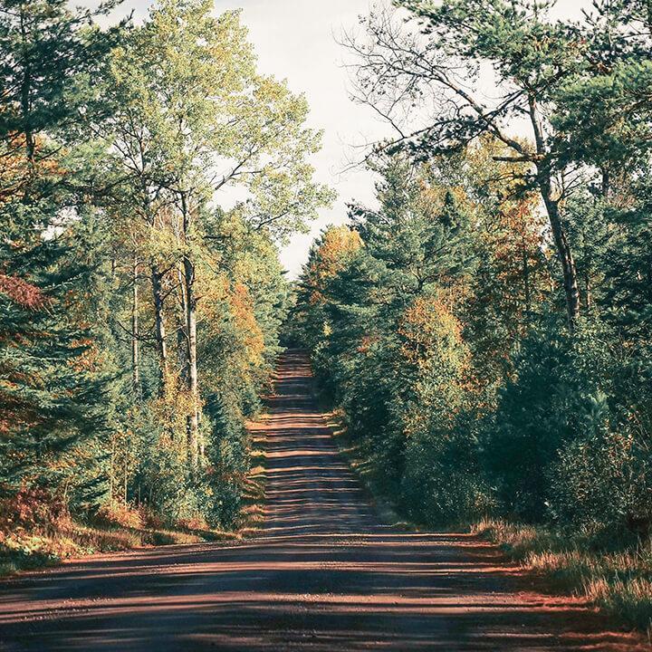 Off The Beaten Bath: Travel To The Best Forests and Parks Edition - Thumbnail