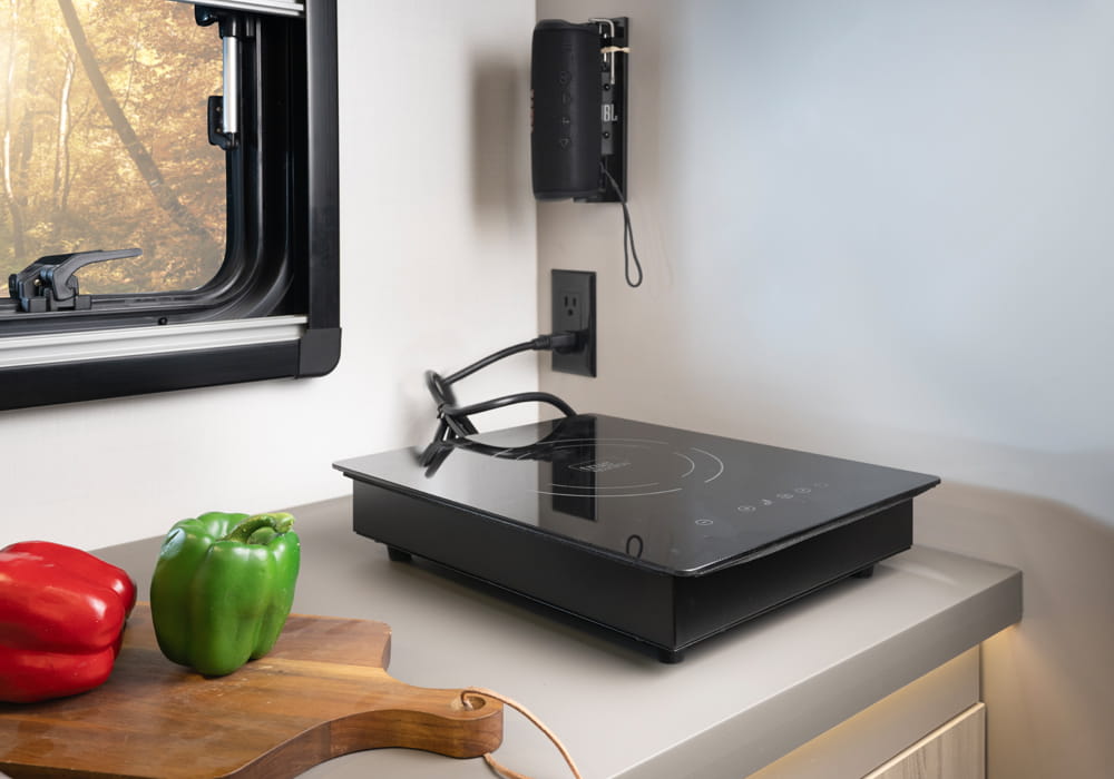 Entegra Coach Condor kitchen cooktop