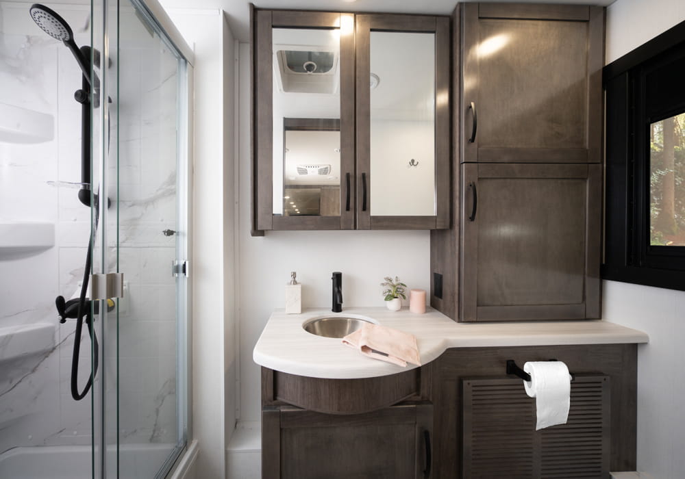 Entegra Coach Vision XL bathroom with vanity