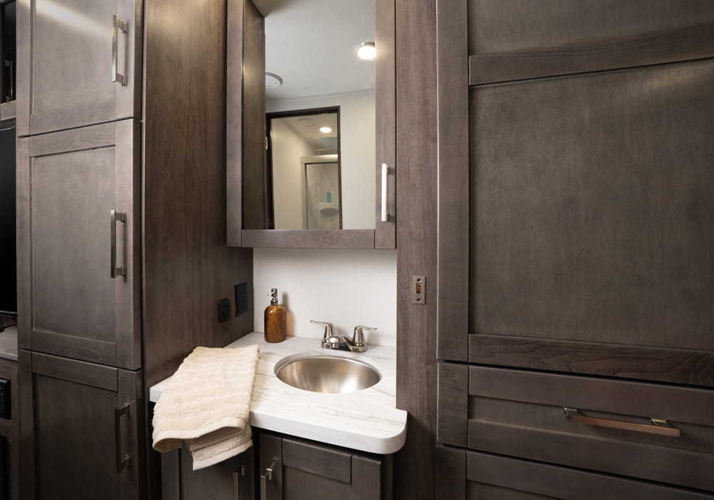 Entegra Coach Odyssey bathroom sink