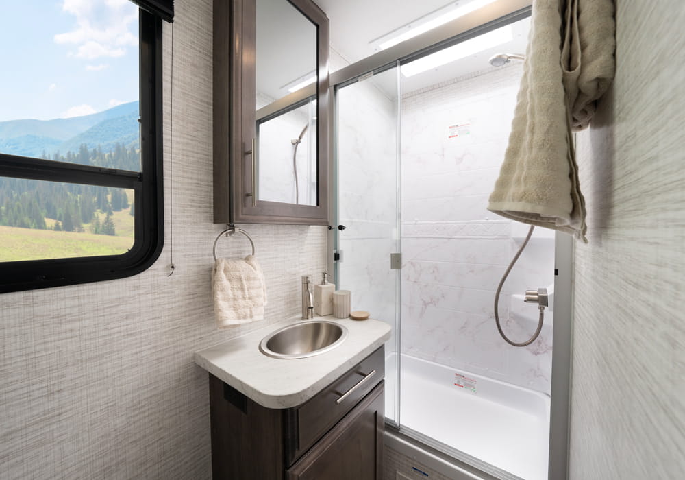 Entegra Coach Vision SE bathroom